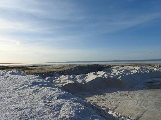 Salinas del Gualicho